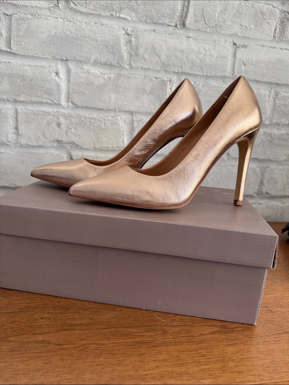 Halston Heritage pumps
